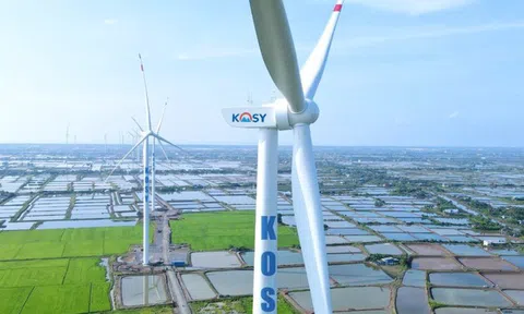 KOS giải trình 5 phiên giảm sàn, cập nhật diễn biến hoạt động kinh doanh