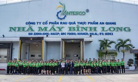 Antesco chuẩn bị phát hành gần 5,9 triệu cổ phiếu trả cổ tức năm 2025
