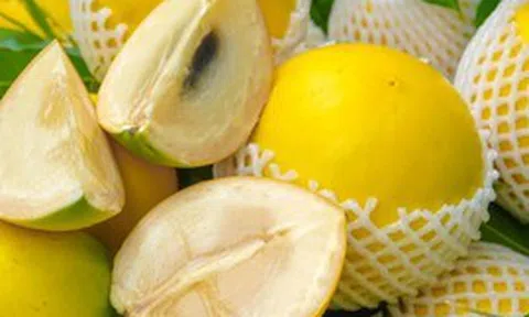 1 loại quả ngọt tốt ngang nhân sâm, chỉ duy nhất Việt Nam xuất khẩu trên thế giới: Hạ đường huyết, bổ máu, tốt cho xương khớp