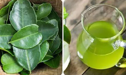 Uống nước lá chanh có tác dụng gì?