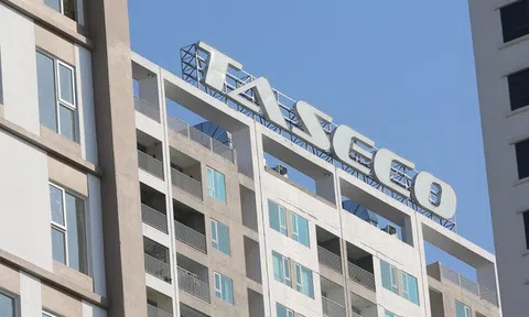Taseco Land phát hành 10 triệu cổ phiếu ESOP giá 10.000 đồng