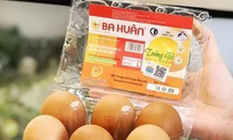 BIDV rao bán nợ hơn 600 tỷ của Công ty trứng gà Ba Huân, thế chấp bằng hàng chục ha đất, nhà máy, trứng, gà, thức ăn chăn nuôi,...