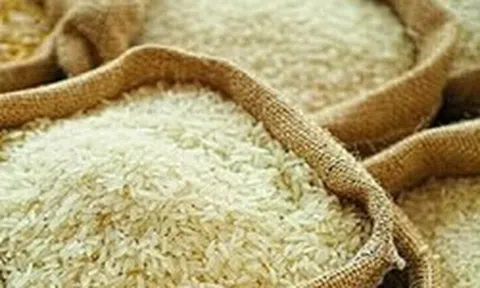 Giá gạo xuất khẩu Ấn Độ lên cao nhất hơn một năm