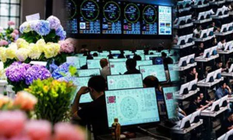 Kỳ lạ sàn giao dịch đấu giá hoa lớn nhất châu Á, 900 tay buôn không mặc cả, do dự nửa giây là ra về tay trắng