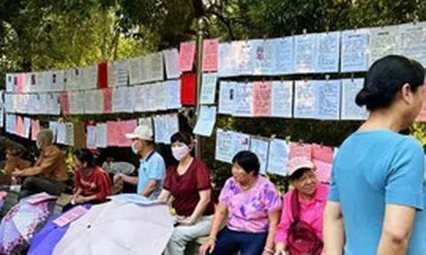 Chuyện 8 lần xem mắt đang viral xứ Trung: Lần đầu tiên thấy cảnh tượng buồn cười đến đáng thương thế này!