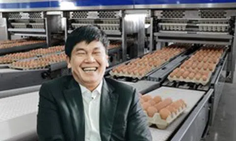 Công ty của tỷ phú Trần Đình Long bán gần 1 triệu quả trứng gà mỗi ngày, đưa hàng sang cả Lào và Campuchia