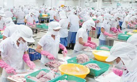 Thủy sản Mekong chật vật trong quý III, doanh thu mất hơn 62%
