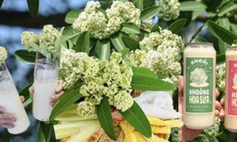 Thực hư trà sữa, nước khoáng hoa sữa gây sốt tại Hà Nội, uống vào thực khách liền “bất ngờ”