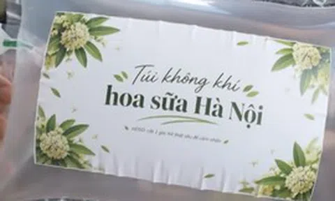 Trong lúc Hà Nội cắt tỉa hoa sữa cho bớt "thu nồng", xuất hiện túi đựng mùi hoa sữa giá 300.000 đồng