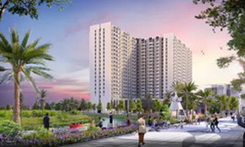 Bất ngờ một doanh nghiệp bất động sản trở thành cổ đông lớn của Cao su Miền Nam