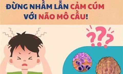 Cúm mùa và não mô cầu đều có thể gây sốt cao đột ngột: Bác sĩ Trương Hữu Khanh chỉ cách phân biệt 2 bệnh