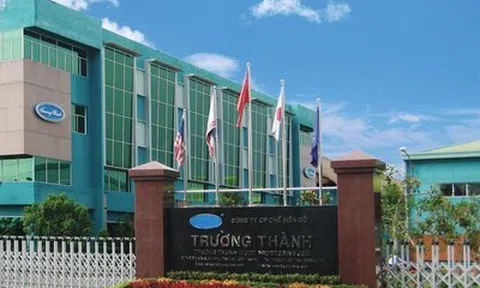 Gỗ Trường Thành (TTF) đứng trước nguy cơ bị hủy niêm yết nếu kiểm toán tiếp tục từ chối cho ý kiến