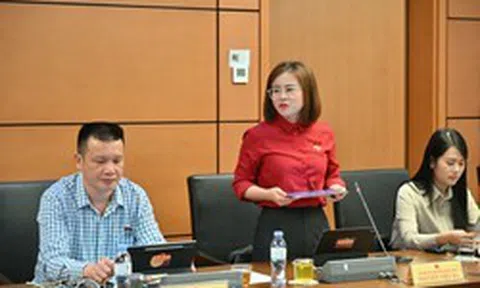 ĐBQH Nguyễn Việt Hà: Không để người mua nhà mất đi lớp bảo vệ từ bảo lãnh ngân hàng