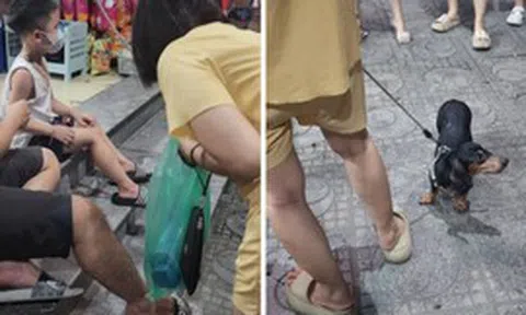 Chủ dắt chó xuống sân đi dạo nhưng không rọ mõm khiến 1 bé trai bị cắn phải đi tiêm phòng trong đêm
