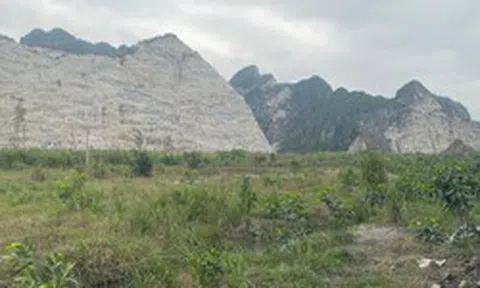 Ecogreen được thuê đất đợt 1 làm nhà máy xử lý chất thải Kinh Môn