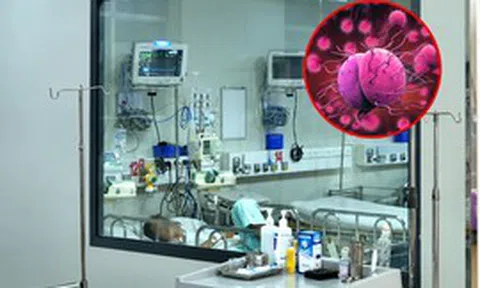 Ghi nhận 7 ca tử vong do não mô cầu trong hơn 10 tháng: Một nhóm tuổi có tỷ lệ mang vi khuẩn lên đến 24%
