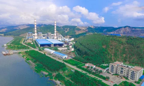 Nhiệt điện Quảng Ninh lãi 9 tháng vượt kế hoạch năm, “trắng” vay nợ