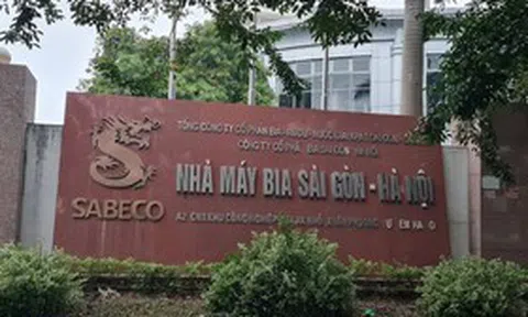 Bia Sài Gòn – Hà Nội chững nhịp trong quý III/2026, lợi nhuận giảm 14%