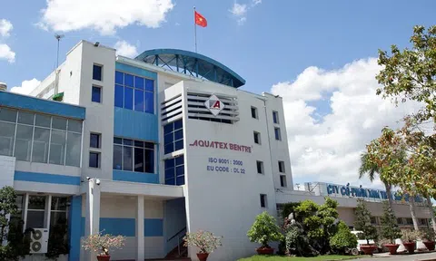 Thu nhập lãnh đạo Thủy sản Bến Tre giảm mạnh trong 9 tháng đầu năm