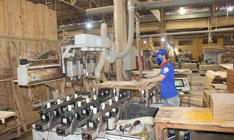 Gỗ Thuận An còn 3 tỷ đồng tiền mặt, đầu tư ngắn hạn chiếm 72% tài sản