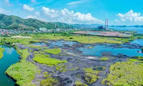 Dự án điện khí hơn 2 tỷ USD ở Quảng Ninh 'nằm chờ' khởi công