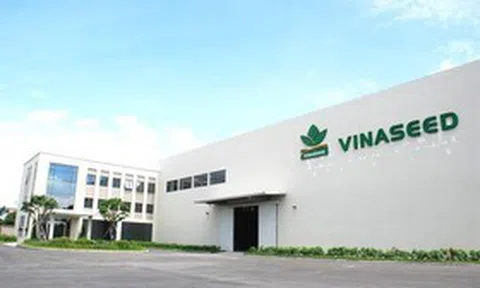 Lợi nhuận quý III giảm gần một nửa, thu nhập lãnh đạo Vinaseed thụt lùi