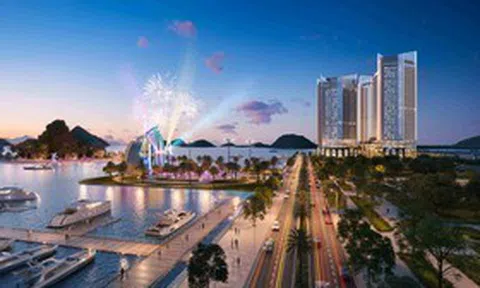 Lợi nhuận tăng nhưng dòng tiền kinh doanh của Everland âm gần 600 tỷ đồng