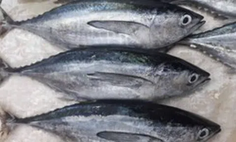Việt Nam đón thêm một tin vui từ Mỹ