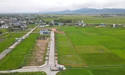 Sau 'sốt nóng', đấu giá đất vùng quê trầm lắng, nhiều nơi ‘trắng hồ sơ’
