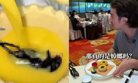 Sáng tạo ẩm thực hay chiêu gây chú ý? Bánh tart trứng phủ bọ giống hệt gián gây tranh cãi ở Trung Quốc