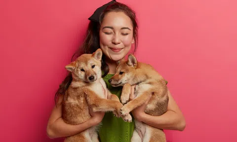 "Bỏ túi 5 bí quyết khi mua camera quan sát thú cưng"