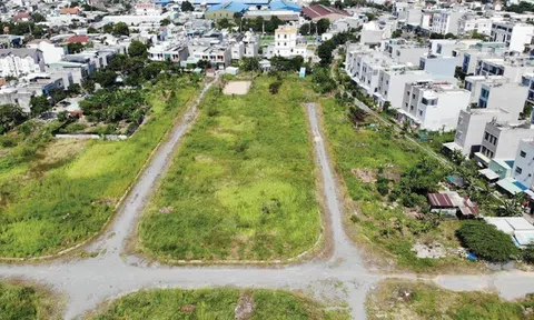 Nhiều dự án tại Bình Dương xếp hàng chờ “giải cứu”