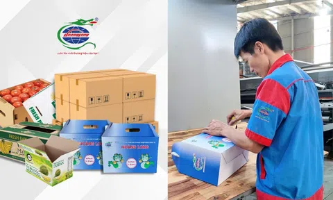 BAO BÌ HOÀNG LONG – GIẢI PHÁP BAO BÌ CARTON CHO XUẤT KHẨU HÀNG HÓA