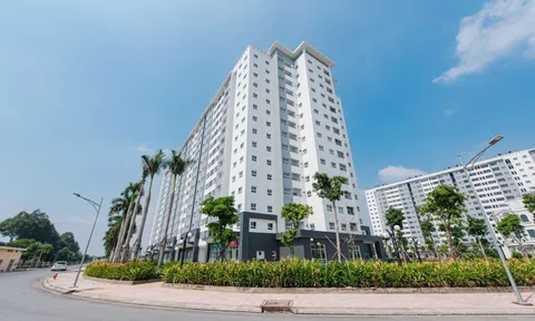 Conic Boulevard, giải pháp tối ưu cho cả nhà đầu tư và người mua ở thực