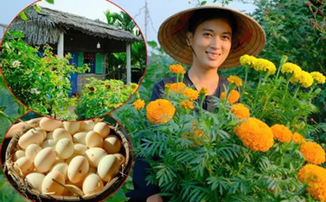 Chàng trai rời phố về quê dựng nhà lá 40m2, xây khu vườn đẹp mê mẩn